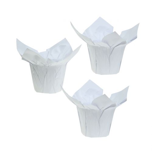 Floristik24 Jardineras de papel blanco Ø8cm 12pcs