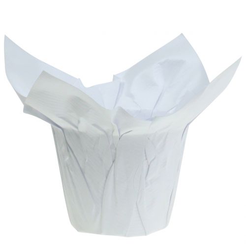Floristik24 Macetas de papel blancas Ø12cm 12uds