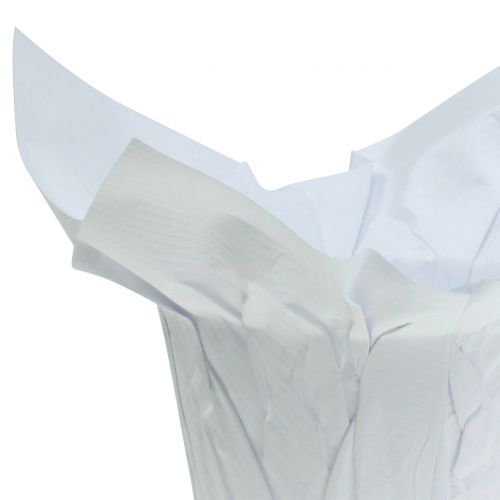Floristik24 Macetas de papel blancas Ø12cm 12uds