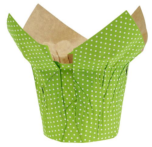 Floristik24 Maceta de papel Ø12cm H9cm culo verde. 8 piezas