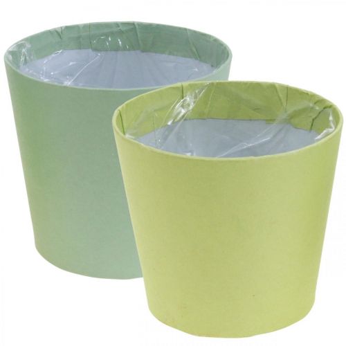 Floristik24 Macetero de papel, macetero, macetero azul/verde Ø15cm H13cm 4pcs