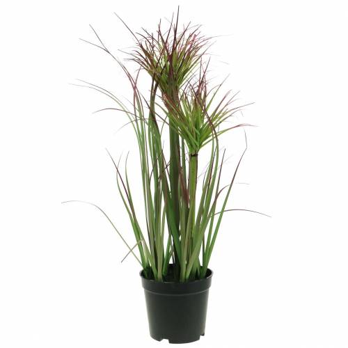 Floristik24 Hierba artificial en maceta Verde, rojo violeta 45cm