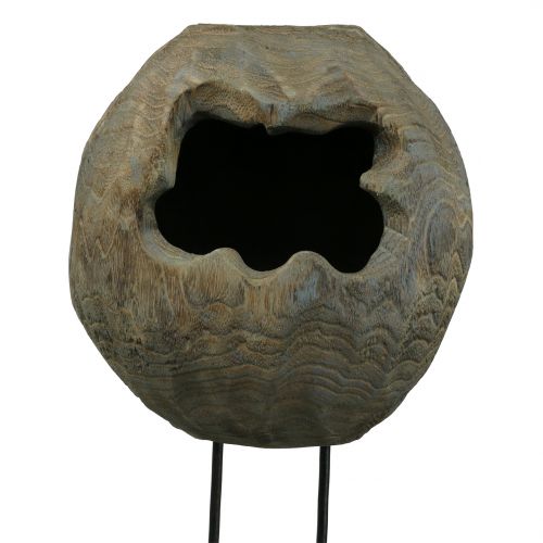 Artículo Deco escultura planta bola de madera de paulownia Al. 68cm