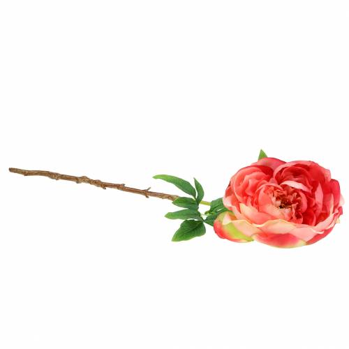 Floristik24 Rosa Peonía 59cm