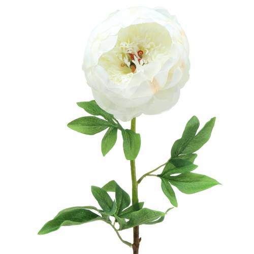 Peony White 59cm