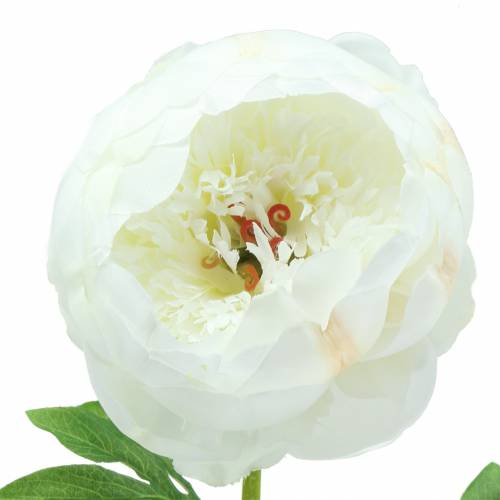 Artículo Peony White 59cm