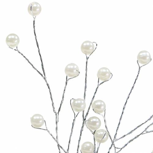 Floristik24 Rama perla champagne L18cm 2 piezas
