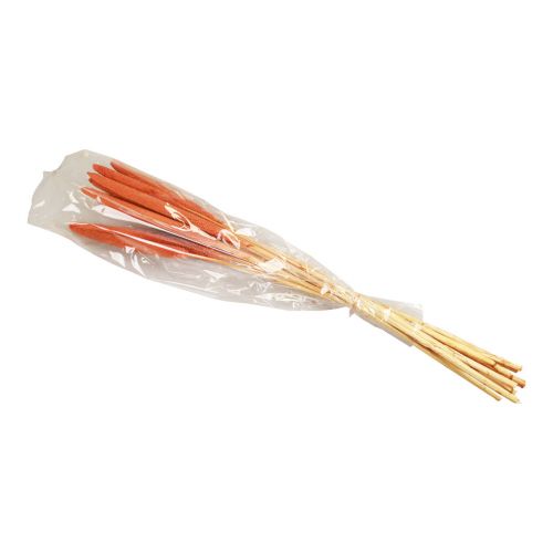 Artículo Cañas de mijo perla Babala mijo naranja 70cm 10uds