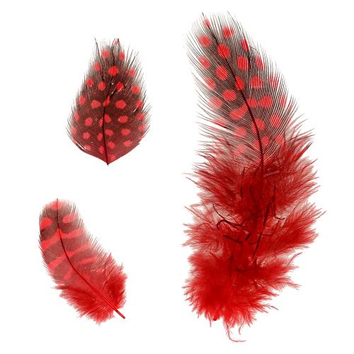 Artículo Plumas de gallina de Guinea Faraona 30g rojo