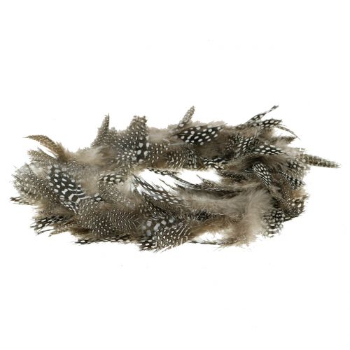 Floristik24 Guirnalda de plumas pintada Ø16cm