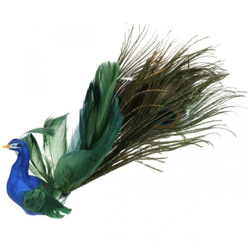 Floristik24 Ave del paraíso, pavo real para sujetar, pájaro de plumas, decoración de pájaros azul, verde, colorido H8.5 L29cm