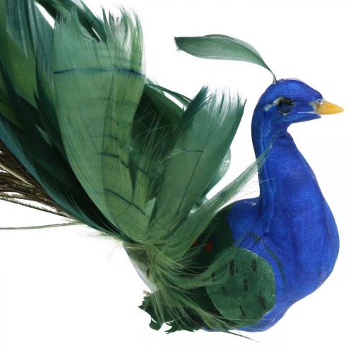 Floristik24 Ave del paraíso, pavo real para sujetar, pájaro de plumas, decoración de pájaros azul, verde, colorido H8.5 L29cm
