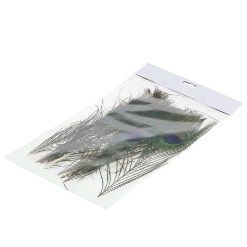 Floristik24 Plumas de pavo real 22cm - 30.5cm 12pcs