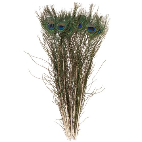 Artículo Plumas de pavo real, plumas de ave auténticas para manualidades y decoración, 55 cm, 10 unidades