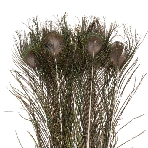 Artículo Plumas de pavo real, plumas de ave auténticas para manualidades y decoración, 55 cm, 10 unidades