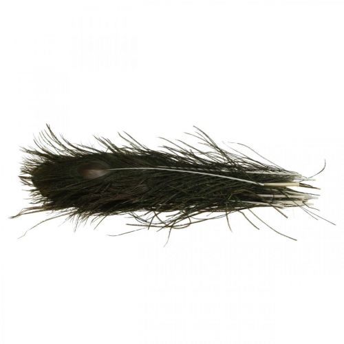 Floristik24 Decoración de plumas de pavo real Plumas reales para manualidades Natural 24-32cm 24 piezas