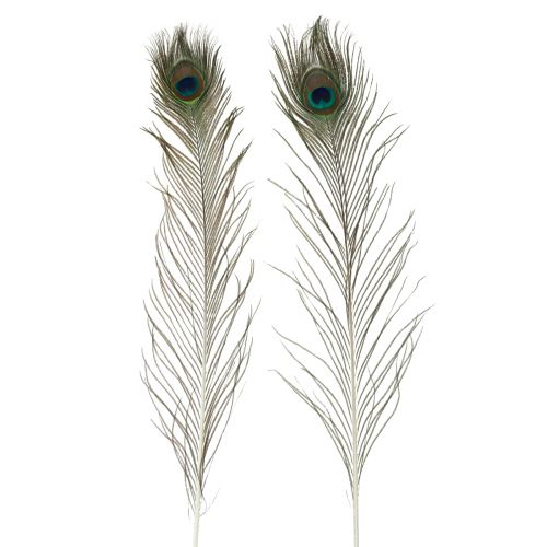Floristik24 Decoración de plumas de pavo real plumas de pájaro reales largo 70cm 16 piezas