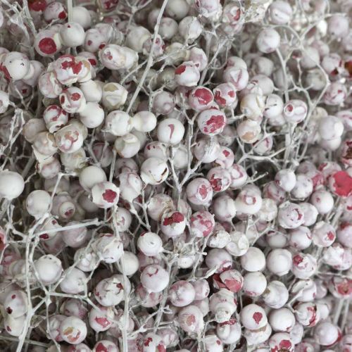 Floristik24 Bayas de pimiento nevado, decoración de invierno, flores secas, Adviento, pimienta rosa blanca lavada 170g