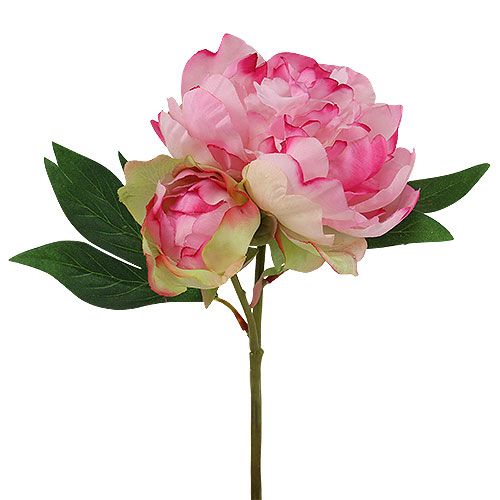 Floristik24 Peonias con capullo rosa L30cm 2pcs