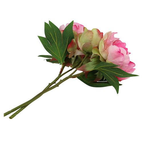 Floristik24 Peonias con capullo rosa L30cm 2pcs