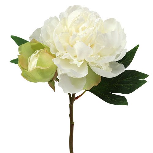 Floristik24 Peonías con capullo blanco L30cm 2pcs