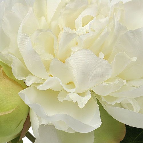 Floristik24 Peonías con capullo blanco L30cm 2pcs
