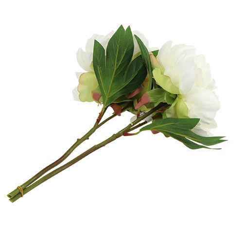 Floristik24 Peonías con capullo blanco L30cm 2pcs