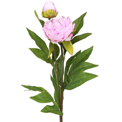 Artículo Peonía flores artificiales rosa con tallo largo 70cm 3ud