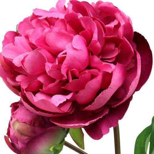 Floristik24 Flor artificial de peonía con flor y capullo púrpura magenta 68cm