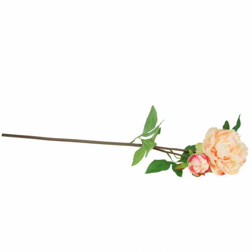 Floristik24 Peonía con flor y capullo de durazno artificial 70cm