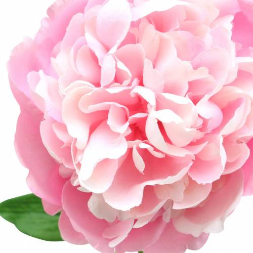 Floristik24 Peonía artificial con flor y capullo Rosa 68cm