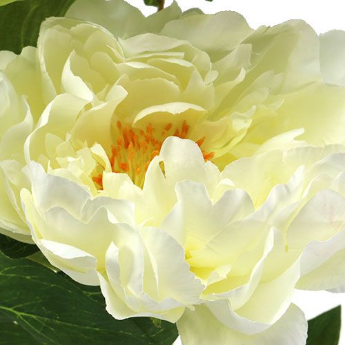 Floristik24 Crema de flores artificiales de peonía L70cm