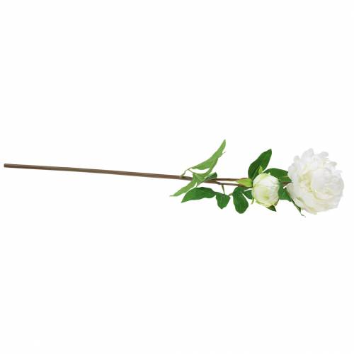 Floristik24 Peonía blanca 72cm