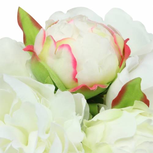 Floristik24 Ramo de peonias blanco / rosa 27cm 6uds