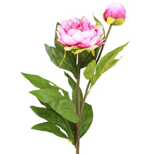 Floristik24 Peonías Flores Artificiales De Tallo Largo Rosa 70cm 3uds