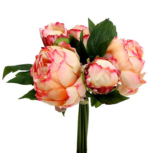 Floristik24 Ramo de Peonía Melocotón 30cm