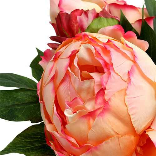 Floristik24 Ramo de Peonía Melocotón 30cm
