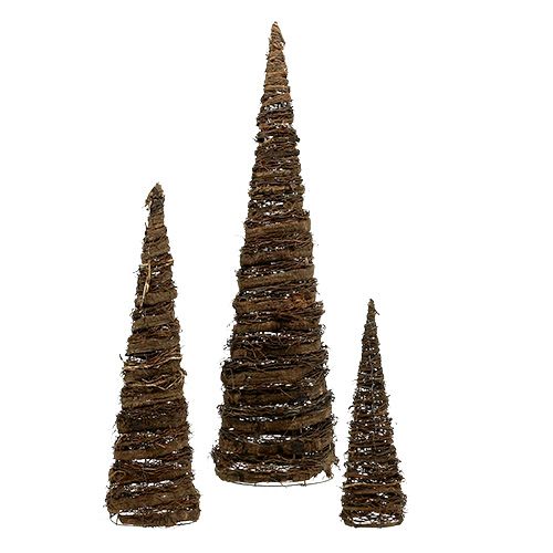 Floristik24 Conos de plantas naturales set de 3 40x10/60x15/80x20cm