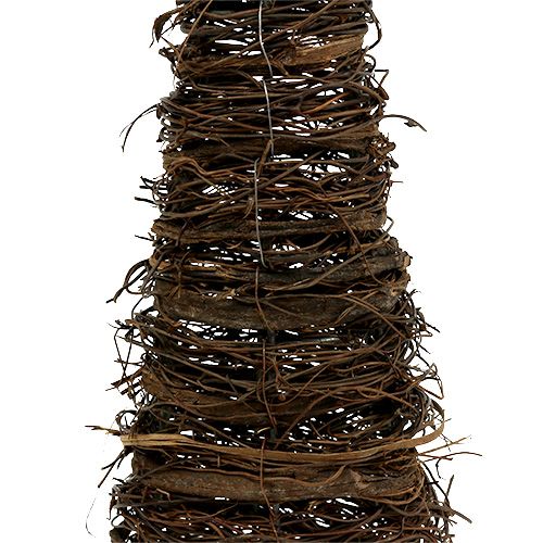 Floristik24 Conos de plantas naturales set de 3 40x10/60x15/80x20cm