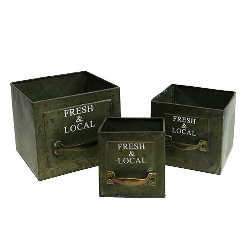 Floristik24 Juego de 3 láminas de metal con cajón vegetal verde antiguo