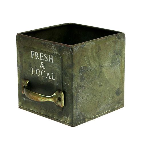 Floristik24 Juego de 3 láminas de metal con cajón vegetal verde antiguo