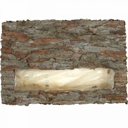 Artículo Posavasos decorativo con planta a través de corteza de pino 45×30cm H6cm