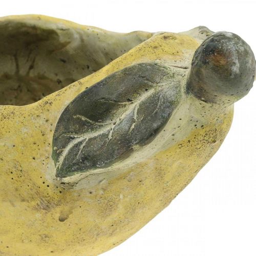 Artículo Pera para plantar, decoración de otoño, recipiente de hormigón L19cm H15.5cm