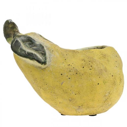 Artículo Pera para plantar, decoración de otoño, recipiente de hormigón L19cm H15.5cm