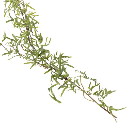 Artículo Guirnalda de espárragos para decoración de habitaciones festivas y ocasiones elegantes, 170 cm