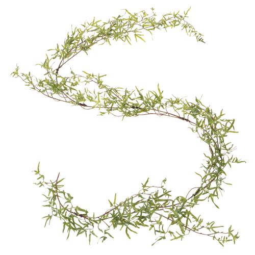 Artículo Guirnalda de espárragos para decoración de habitaciones festivas y ocasiones elegantes, 170 cm