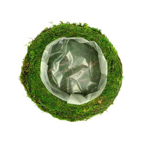 Floristik24 Macetero ramas musgo Ø20cm