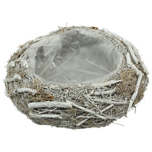 Floristik24 Jardinera gris Ø25cm