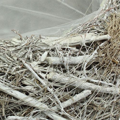 Floristik24 Jardinera gris Ø25cm