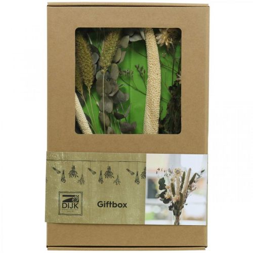 Artículo Ramo de flores secas set de floristería seca de eucalipto H30-35cm